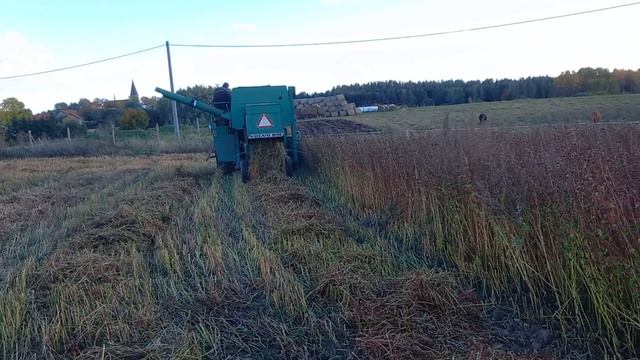 Volvo 830 koszenie gryki październik 2022 pomału a do przodu.