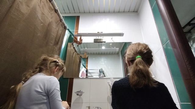ухаживание за басиков чек посвящается эстетик-шоп