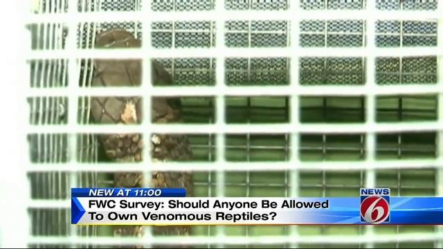 Should owning venomous reptiles be allowed?