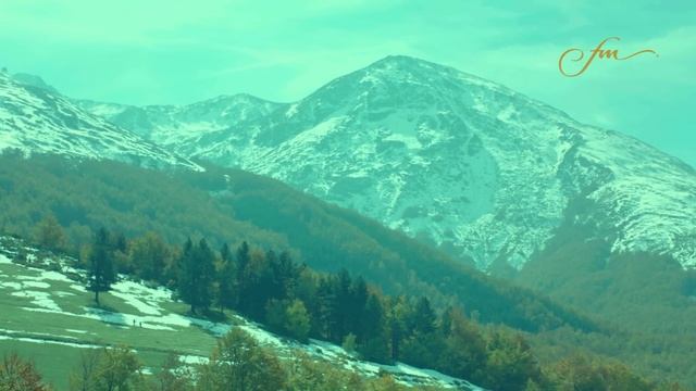 Fidan Gashi - Ditelindje pa urime