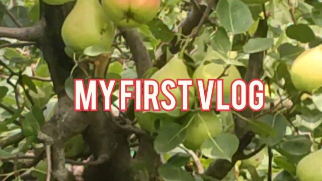 My first vlog 💕💕💕 My first vlog on YouTube  ARMAN VLOGS