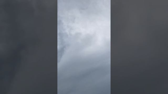 Турецкая Такла в Пятигорске.28.05.23  Самцы, второй этап тренировки.😁✋