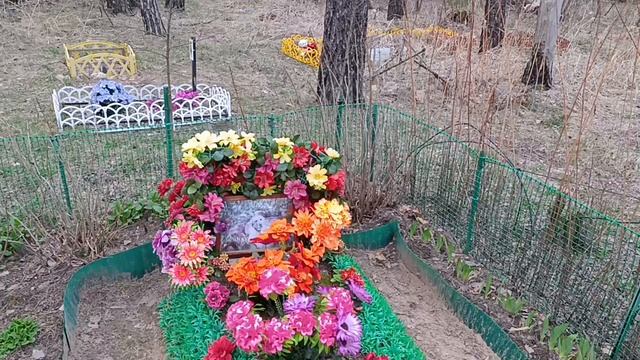 Кладбище животных