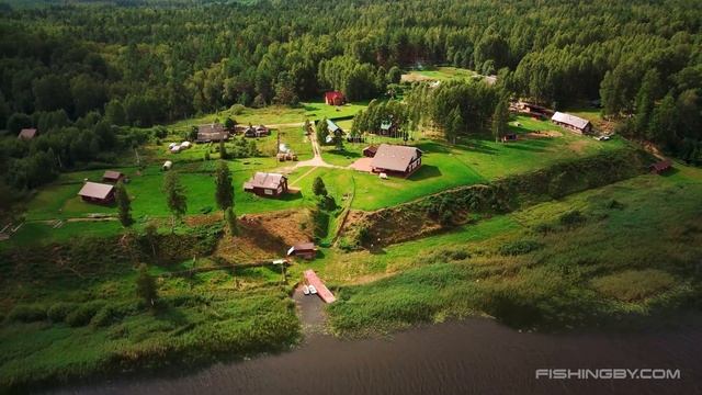 Озеро Большое Свино (Городокский район)