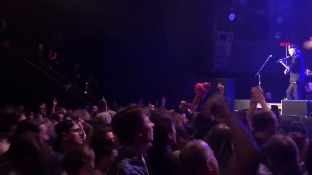 Gogol Bordello, Passport
