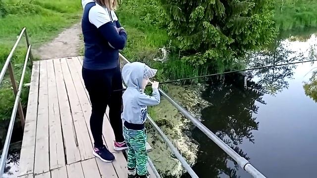 Карасики