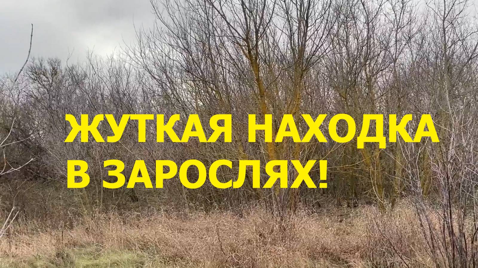 Жуткая находка в зарослях, от которой пошли мурашки по коже!