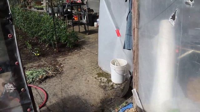 Part 3  Outside patio fence May,6,2020