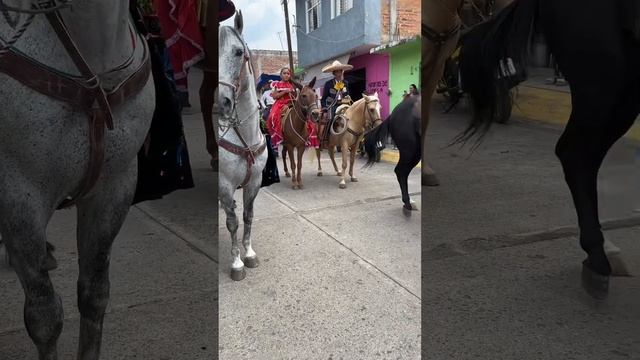 Cabalgata Santa Rita 16 de Septiembre 2023