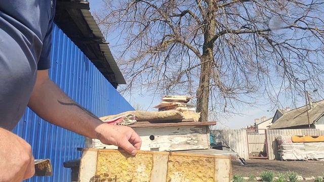 ф.48. ставлю ващину будут тянуть или нет 17.04.2025.г