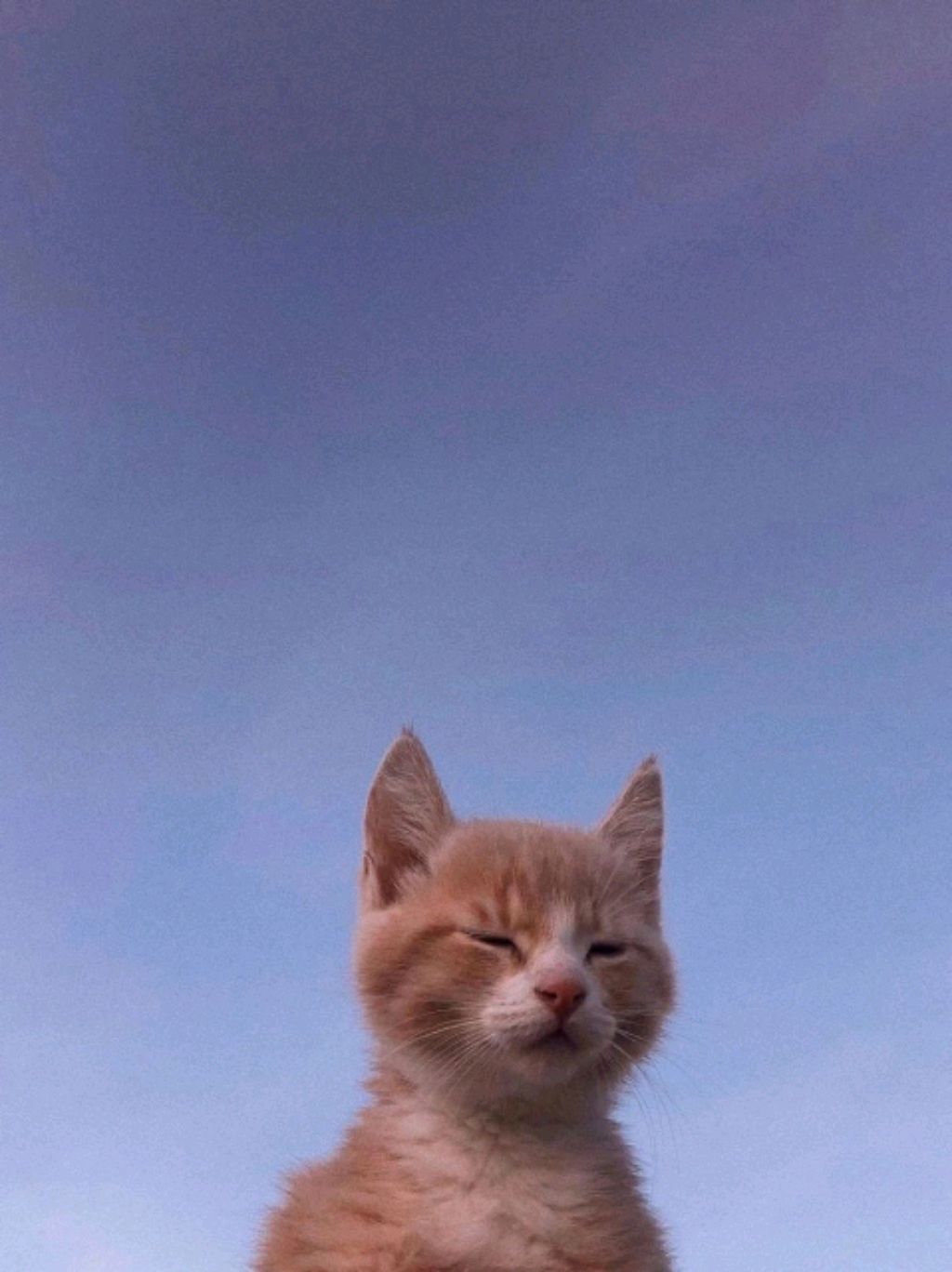про