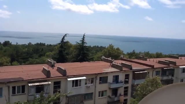Посёлок сосновый вид из квартиры!