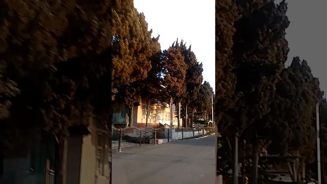 Алушта март 2016 ,Профессорский уголок набережная