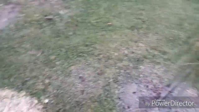 Мой сад 31.10.2018