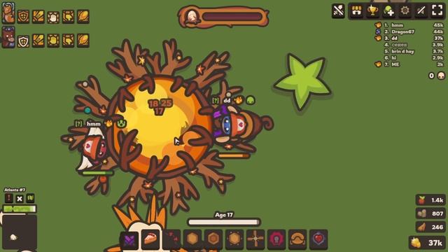 Welcome to your new home Rabbits! (24-25) Taming.io