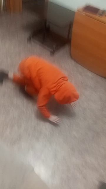 это мой ананимус