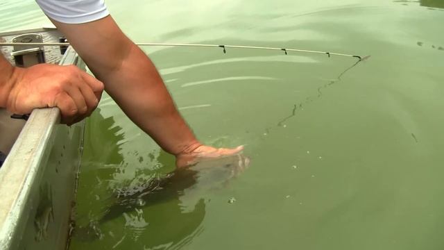 4 pound largemouth bass on a Rapala Jerkbait at Lake Ronkonkoma HD