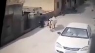 Когда корова не в настроении . ШОК!!!