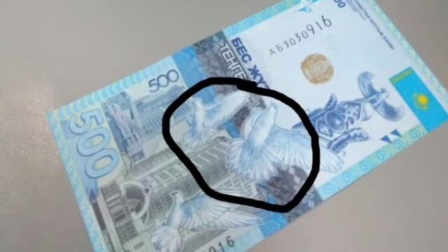Көгершін туралы 5 қызықты факт