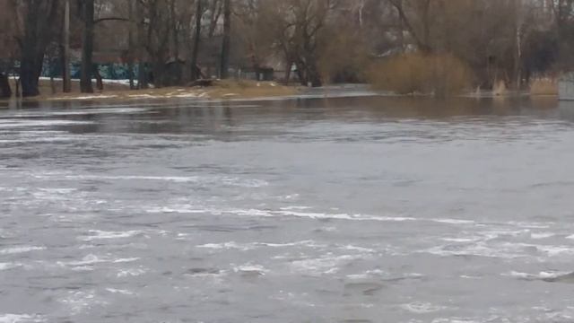 Повінь 2018 Чернігів