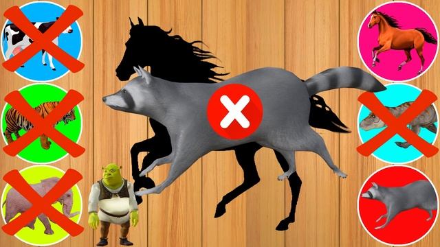 CUTE ANIMALS Cat Cow Horse Tiger Bison Lion Rabbit 고양이 암소 말 호랑이 들소 사자 토끼 All series