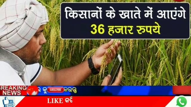 kalia yojana 3rd Phase Money transfer date||18 October ||heavy  rain  in odishall Krusi Runa