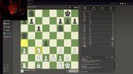 a totally normal game of chess...