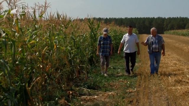 Дороги деревенские (264) 17.04.25