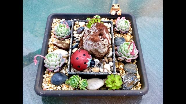 Anna's Garden