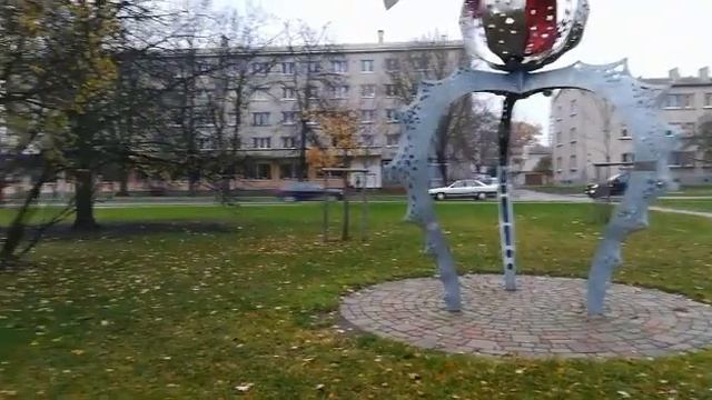 Красочная осень- 6 ноября✨✨✨🌿🌿🌿✨✨✨