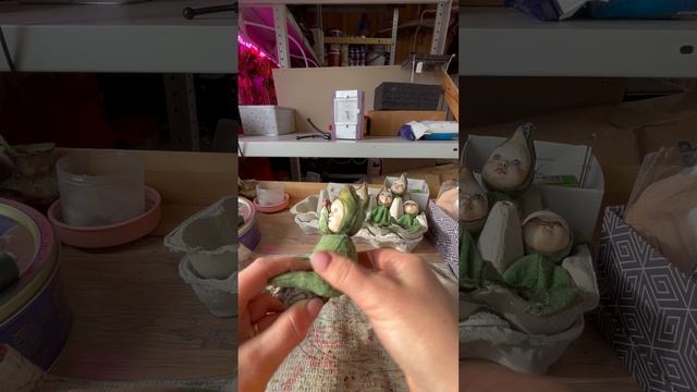 12/серия Гиацинт