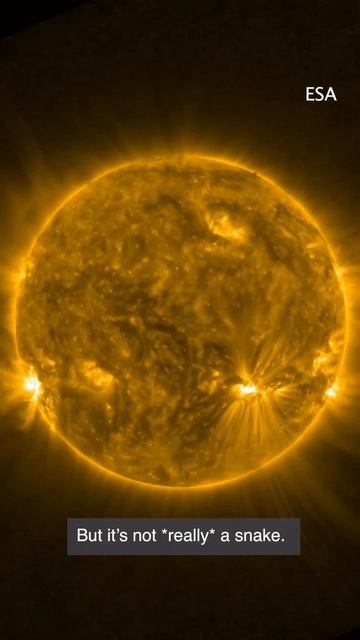 The giant "snake"slithering across the sun surface may be precursor to an bigger event