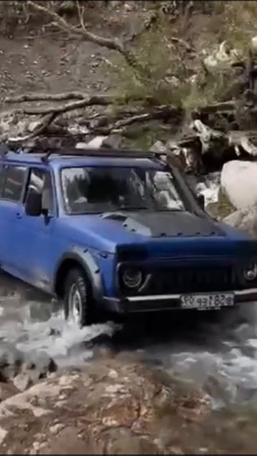 Нива