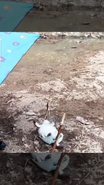 явно среда...