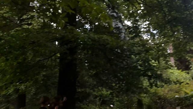 Ботанический сад МГУ 2018 / Что-то Сажают