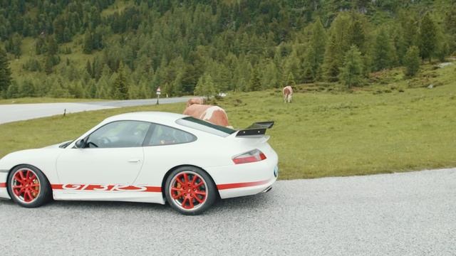 Problem mit den Bullen | Porsche Museum Gmünd | RINGPOLICE