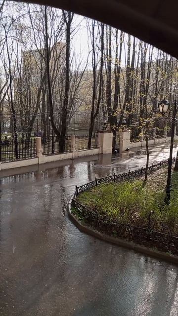 Сегодня 18.04.2025 год. Первый весенний дождь