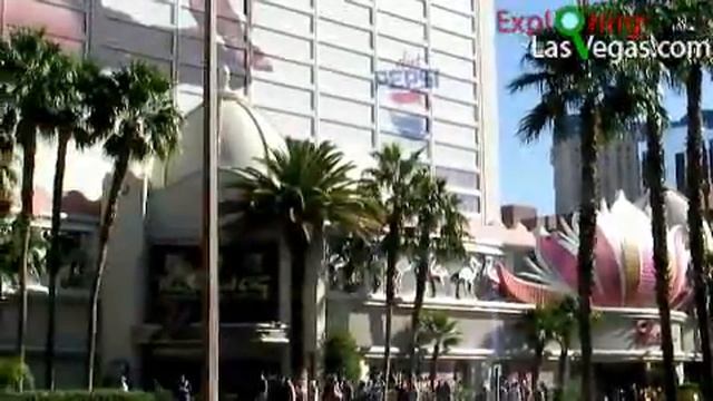 Flamingo Hotel Las Vegas by ExploringLasVegas.com