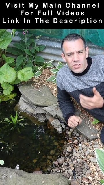 Attract Wildlife To Control Slugs  #shorts