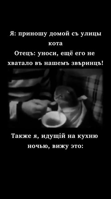 Котикъ #edit #эдит #мем #рофл #прикол #shorts #кот