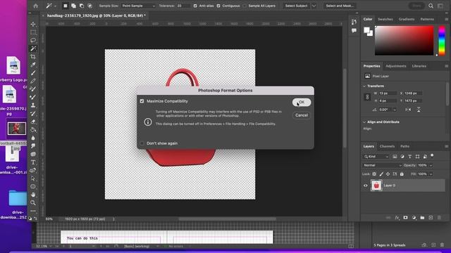 Cutting out images and inputting into InDesign