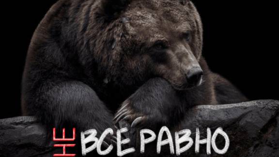 #НеВсеРавно — фильм о страданиях бурых медведей в клетках у придорожных кафе и АЗС.