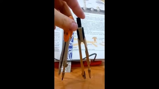 Циркули xD