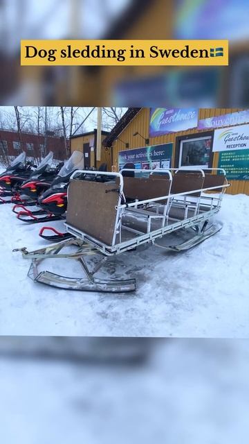 Dog Sledding in Sweden🇸🇪| Husky Sledding in Arctic circle, Abisko||#shorts#viral #telugu #shortsfee