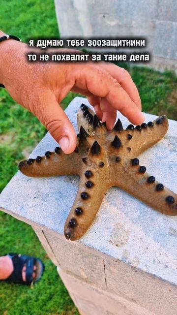 Отпусти☆