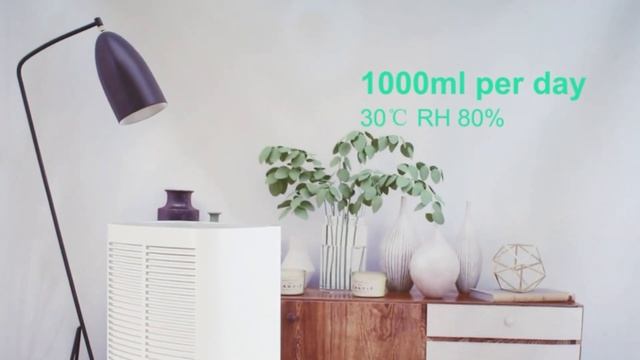 Removable Water Tank Portable Domestic Dehumidifier