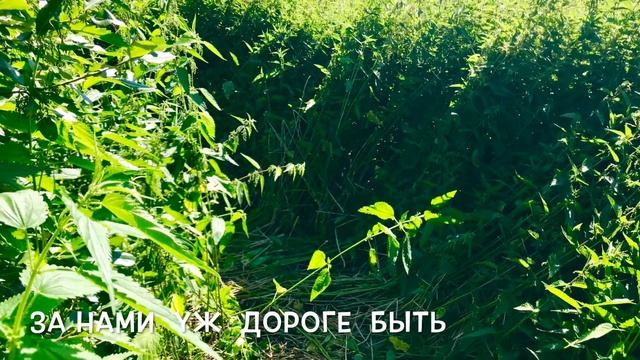 Морошечный велопоход на Пинежское болото