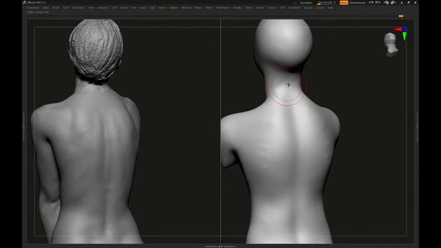 digital sculpting  (zbrush) female gesture/antomy study - 1
