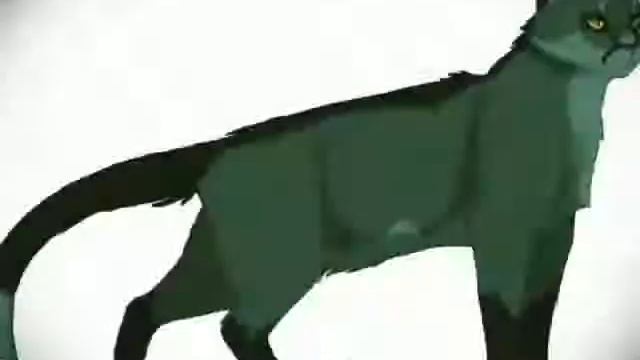 Злые коты воители🐱