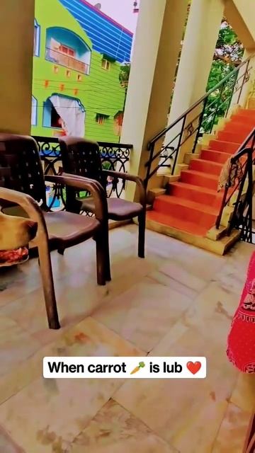 A playful dog catching carrot😍#shorts #short #viral #youtubeshorts #ytshorts #dog